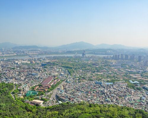 【韓国語で占いOK】新大久保の母が伝える韓国伝統の占いとは？